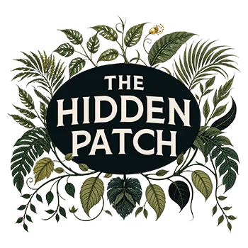 The Hidden Patch